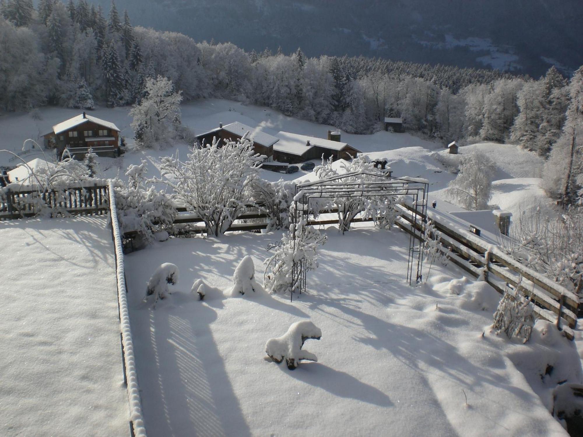 Pension Staldacher Hasliberg Exterior foto